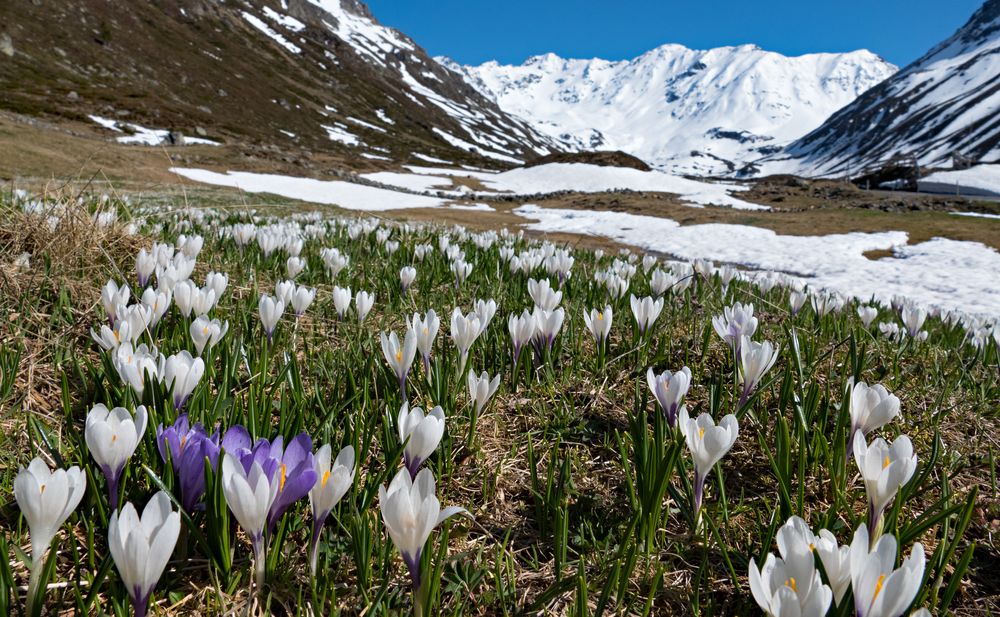 Projekt Fotocommunity Motiv-Experte für den Kanton Graubünden Bild 8 