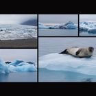 Projekt Island: Ein kleiner Blick auf Island - Bild 5- Vatnajökull Gletscher