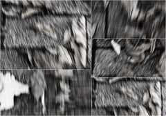 ... projekt laub auf dem fussweg