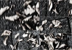 ... projekt laub auf dem fussweg