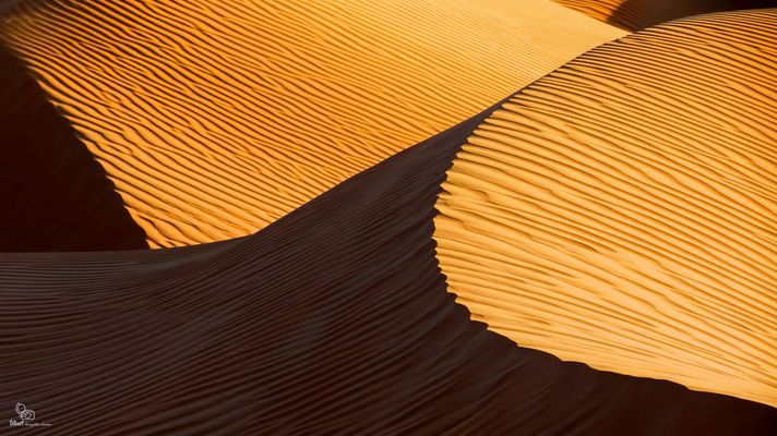 Projekt Licht und Schatten: Wüste