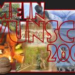 Projekt: Mein Wunsch 2007