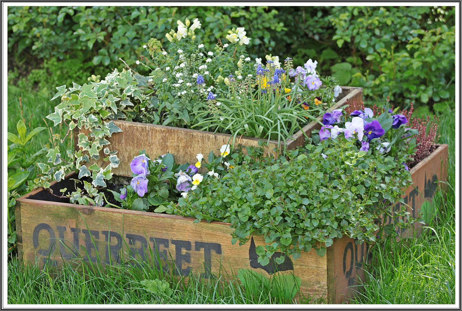 Projekt Querbeet in Aachen