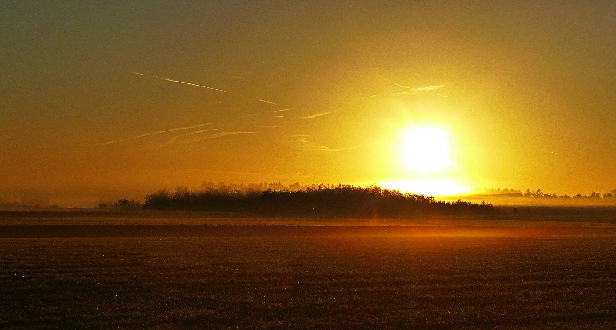 Projekt "Sonntag mit Sonne"