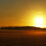 Projekt "Sonntag mit Sonne"