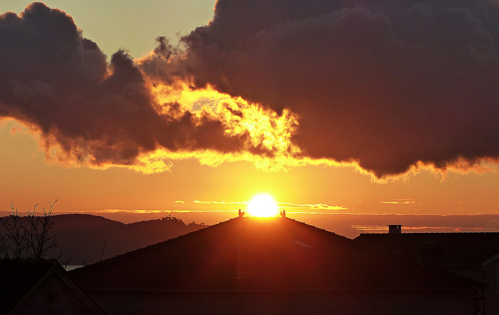 Projekt "Sonntag mit Sonne"