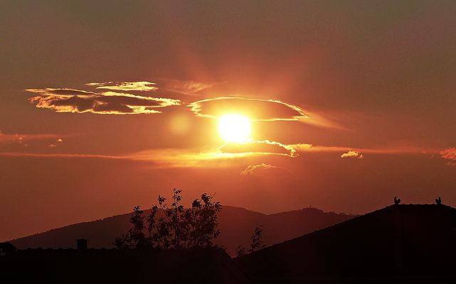 Projekt "Sonntag mit Sonne"