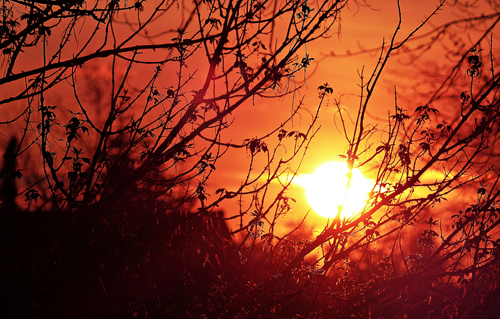 Projekt "Sonntag mit Sonne"