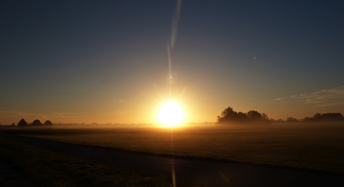 Projekt "Sonntag mit Sonne"