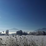 Projekt "Sonntag mit Sonne"