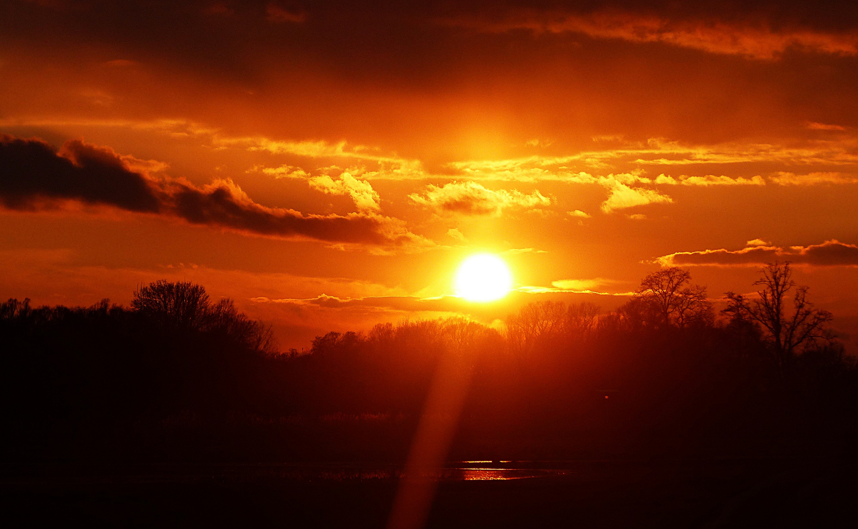 Projekt "Sonntag mit Sonne"