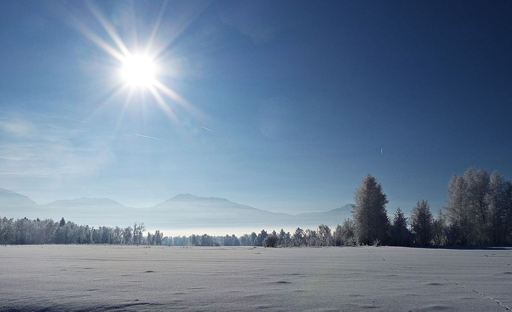 Projekt "Sonntag mit Sonne"