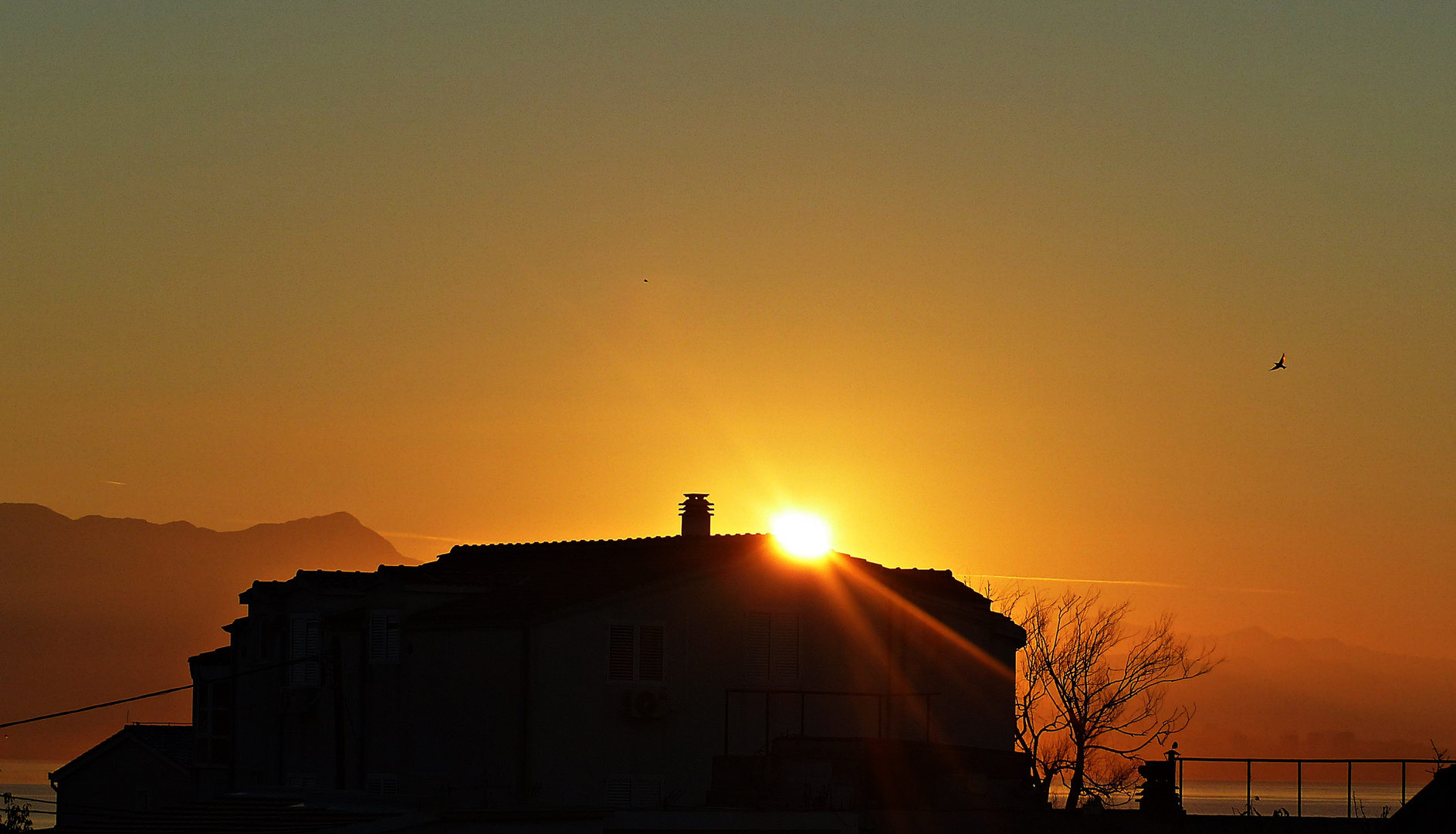 Projekt "Sonntag mit Sonne"