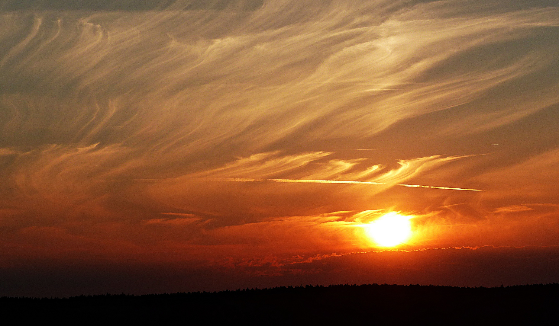 Projekt "Sonntag mit Sonne"