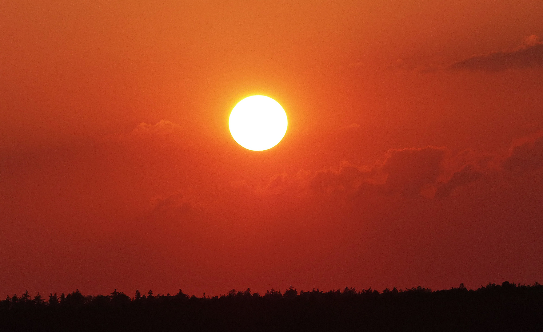 Projekt "Sonntag mit Sonne"