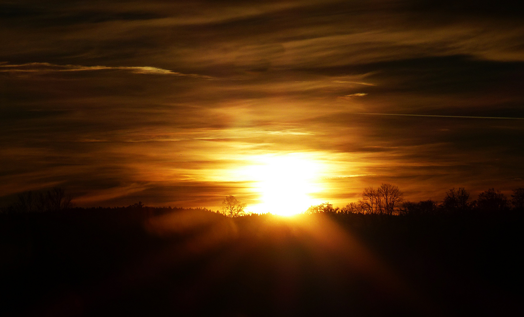 Projekt "Sonntag mit Sonne"