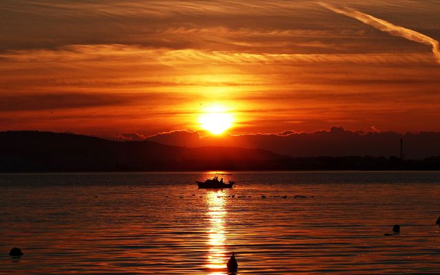 Projekt "Sonntag mit Sonne"