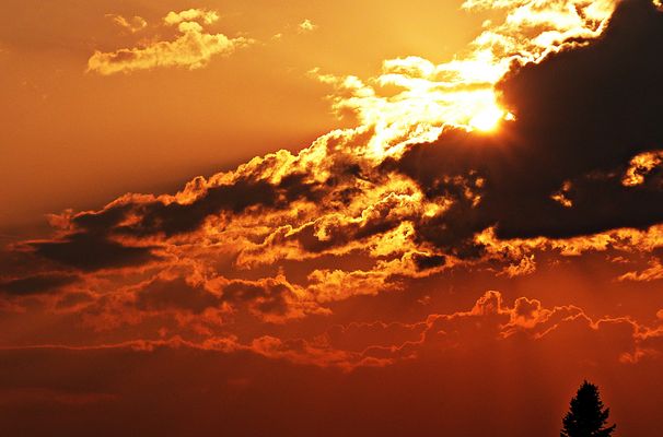 Projekt "Sonntag mit Sonne"