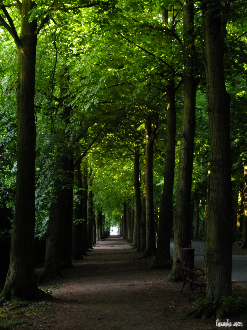 Promenade