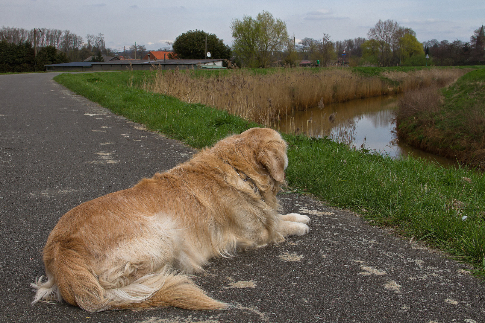 Promenade