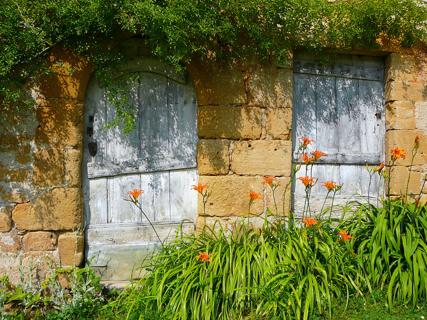 Promenade à la campagne