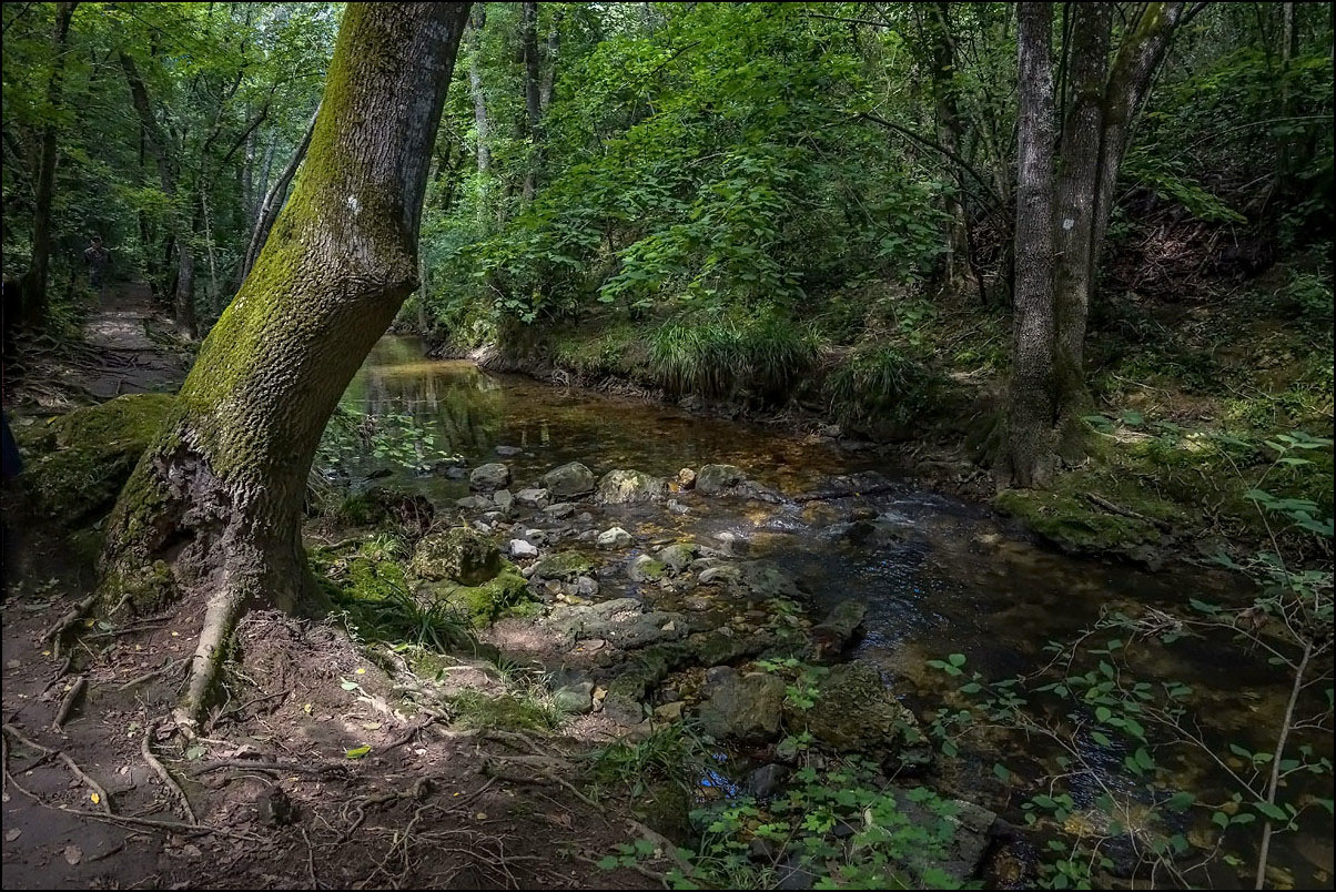 Promenade à la fraîche