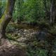 La Brague(Biot)