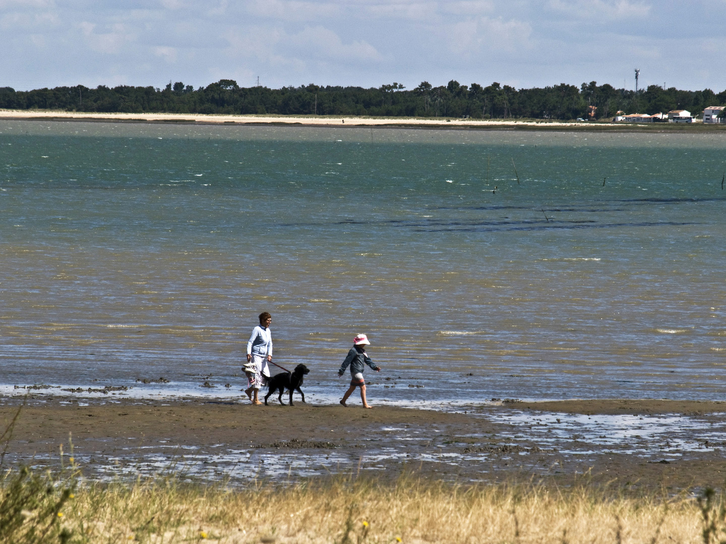 Promenade à l’embouchure de la Seudre  - Charente-Maritime  