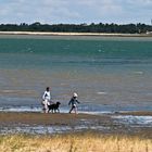 Promenade à l’embouchure de la Seudre  - Charente-Maritime  