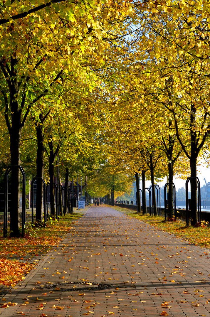 Promenade am Fluss