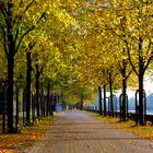 Promenade am Fluss