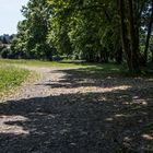 PROMENADE AU BORD DE LA NIVE