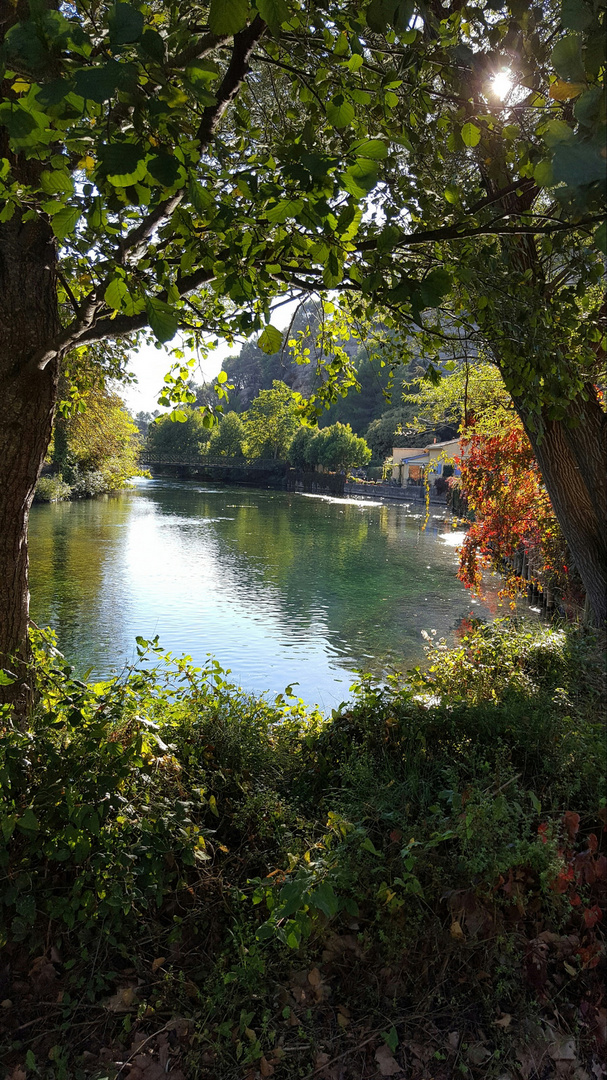 Promenade au bord de la Sorgue 