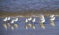 promenade au bord de l'eau !