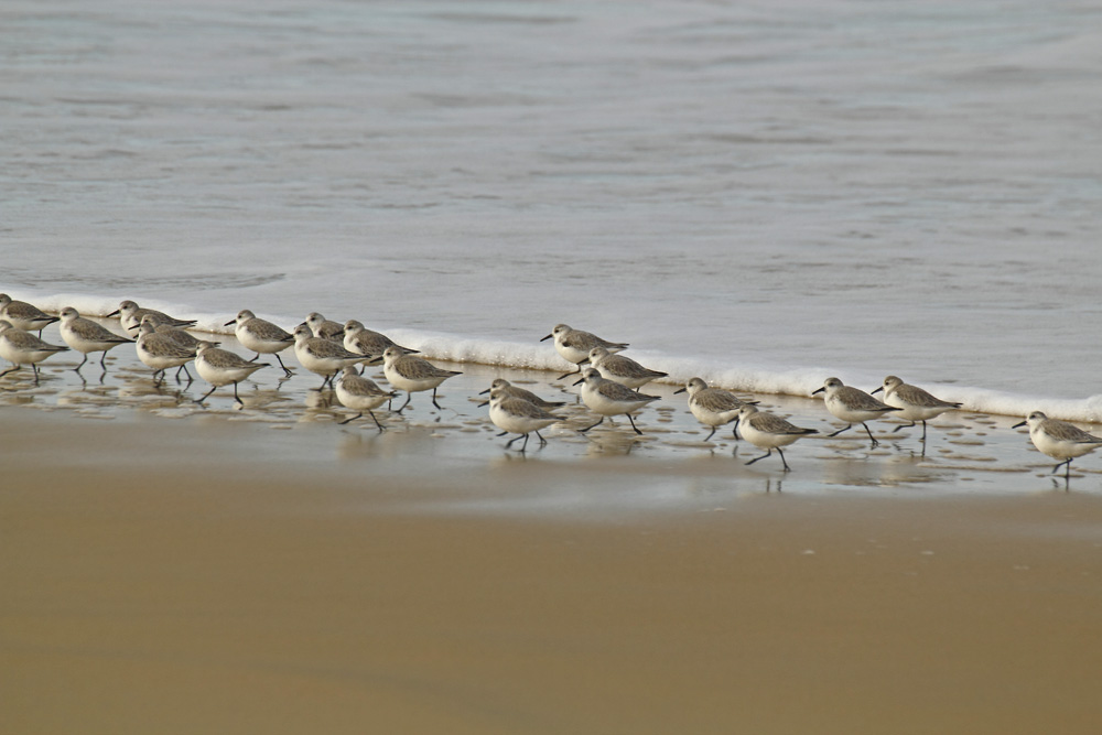 promenade au bord de l'eau !!!!