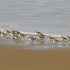 promenade au bord de l'eau !!!!