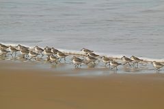 promenade au bord de l'eau !!!!