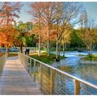 Promenade au bord de l'eau .