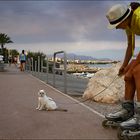 Promenade au bord de mer