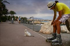 Promenade au bord de mer