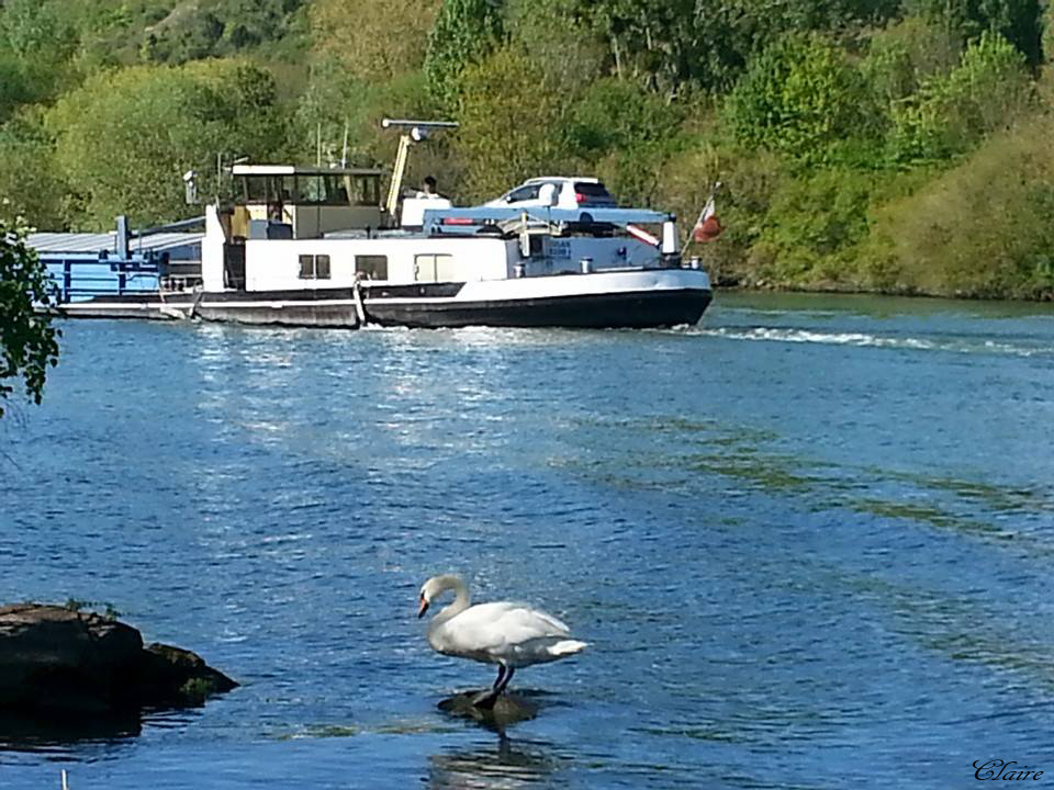 promenade au bord de seine