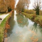 Promenade au bord du canal