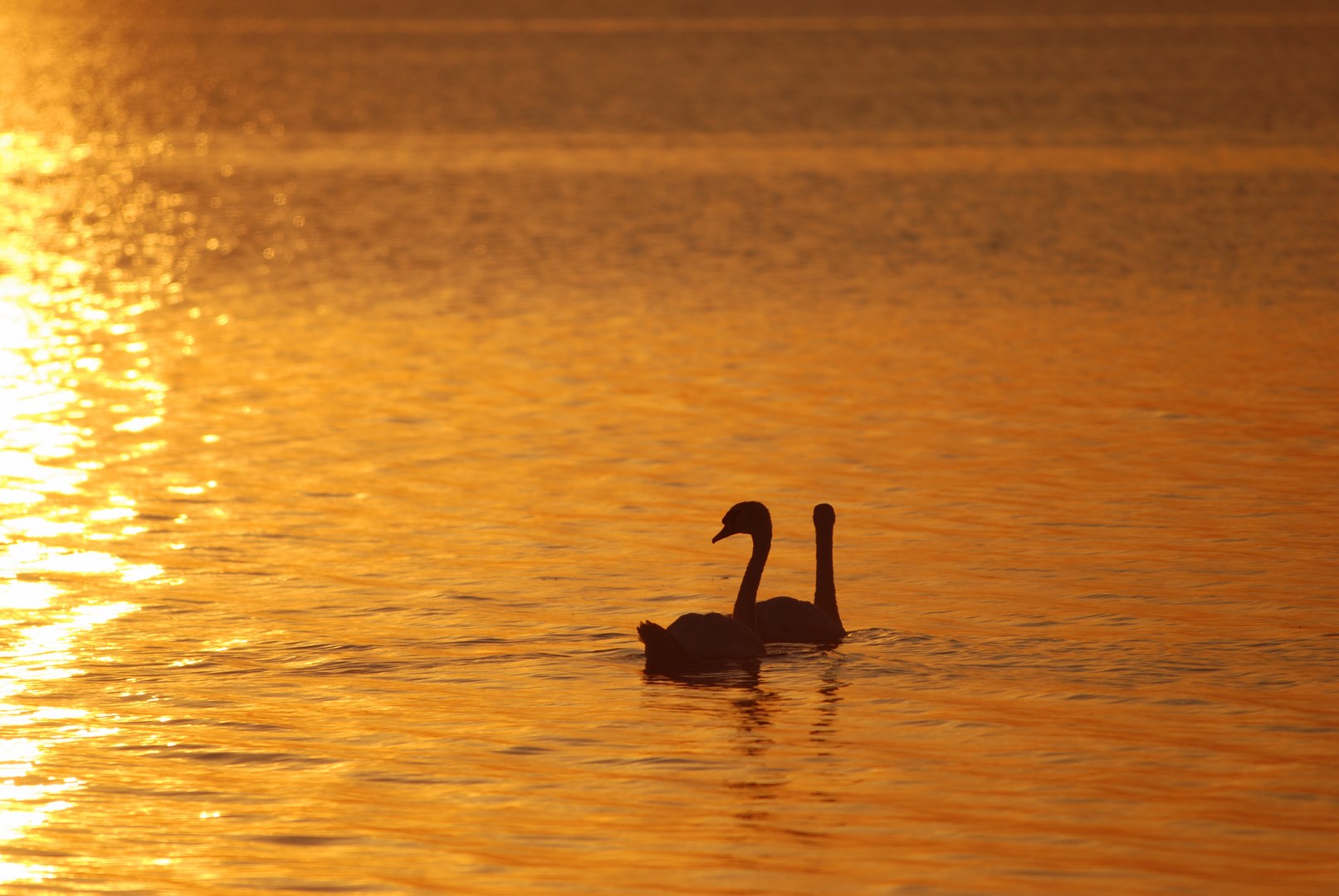 Promenade au crépuscule