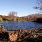 Promenade au "lac" d'Atuech (gard)- 1 -