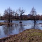 Promenade au "lac" d'Atuech (gard)- 2 -