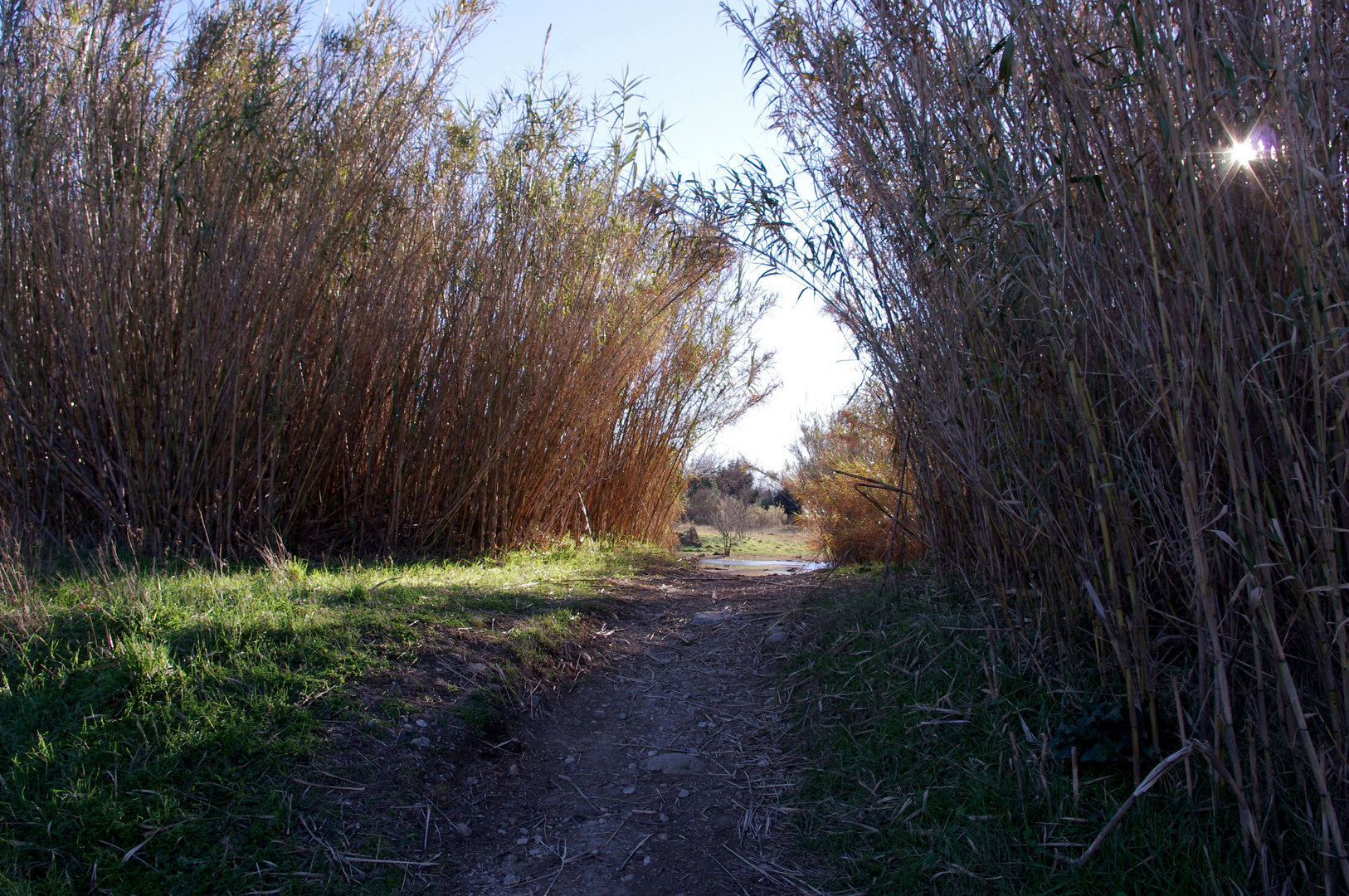 Promenade au "lac" d'Atuech (gard)- 3 -