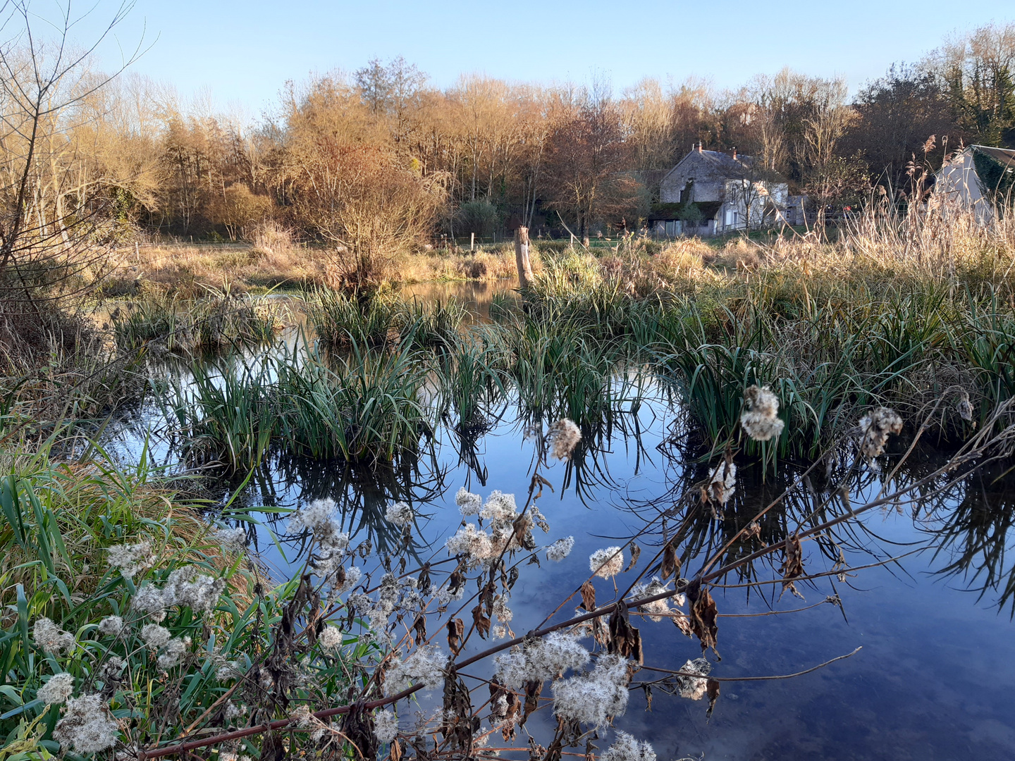 ..Promenade au milieu des marais qui entoure un vieux moulin..dans le 45..