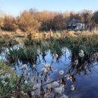 ..Promenade au milieu des marais qui entoure un vieux moulin..dans le 45..