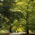 Promenade au parc