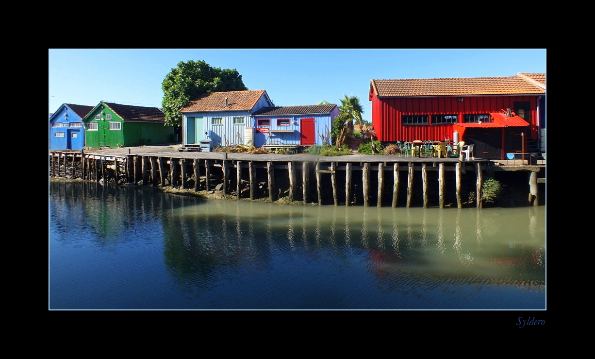 Promenade au port